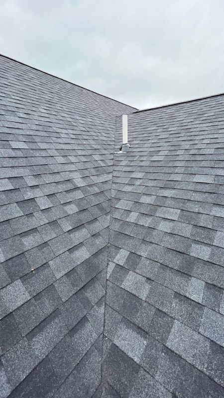Professional Roof Service