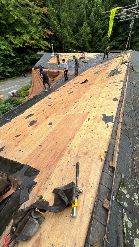 Professional Roof Shingling